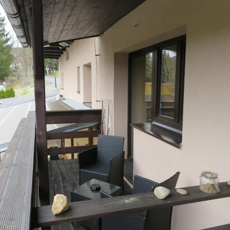 Pension Aura Spicak, Nektere Pokoje Se Saunou Zelezna Ruda Luaran gambar