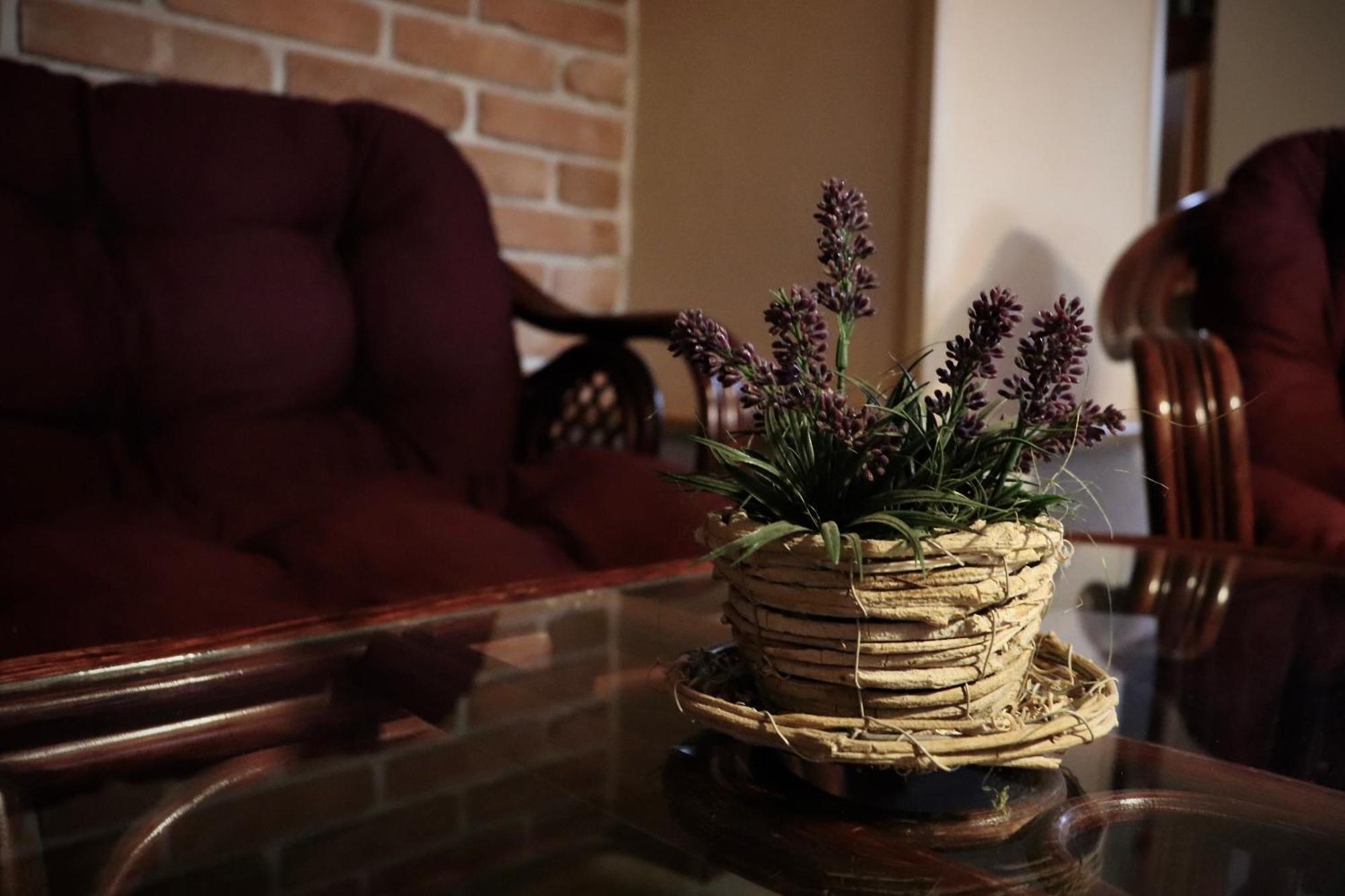 Pension Aura Spicak, Nektere Pokoje Se Saunou Zelezna Ruda Luaran gambar