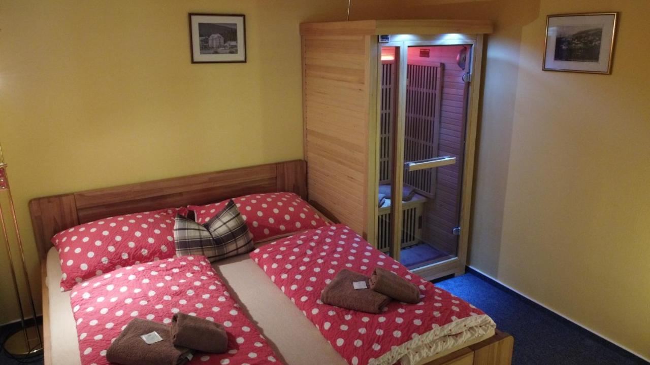 Pension Aura Spicak, Nektere Pokoje Se Saunou Zelezna Ruda Luaran gambar